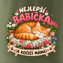 Nejlepší babička a kočičí máma spící zrzavý kocour