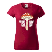 Všechny houby jsou jedlé