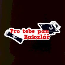 Pro tebe pan Bakalář