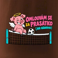 Nohejbalové prasátko na síti