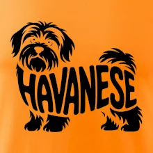 Havanese nápis v těle