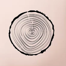 Letokruhy 20 bez věku