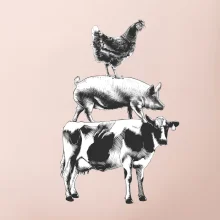 Slípka prase kravka