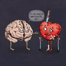 Mozek a srdce - poučení (Hana-creative)