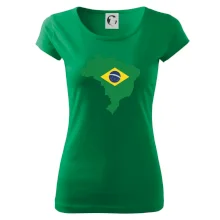 Brazílie vlajka v mapě