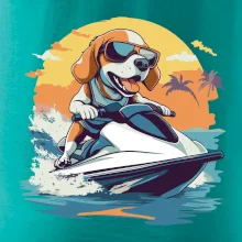 Bígl na vodním skútru