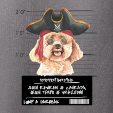 Lump a darebák pudl