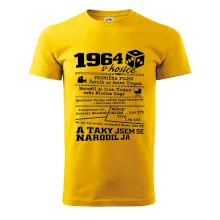 1964 v kostce