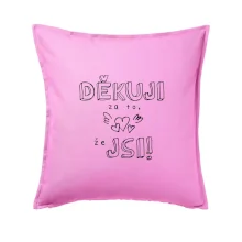 Děkuji za to, že jsi