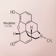 Molekulární struktura Morfin
