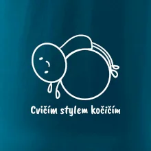 Cvičím stylem kočičím