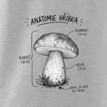 Anatomie hříbka