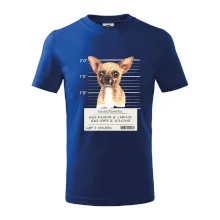 Lump a darebák čivava