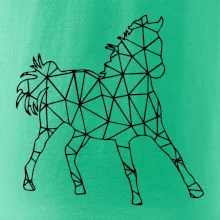 Geometrie - kůň Geometrie - kůň