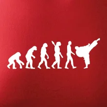 Karate Evoluce - kop