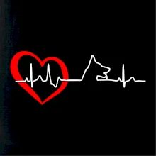 Německý ovčák ekg