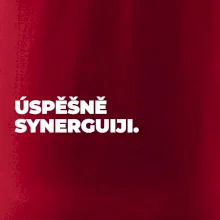 ÚSPĚŠNĚ SYNERGUIJI.