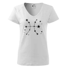 Souhvězdí - Pisces - Ryby