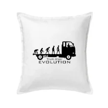 Truck driver evolution