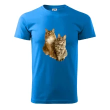 Kočky vectorizované  (Moňas)