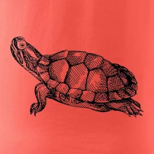 Tužkou kreslená želva