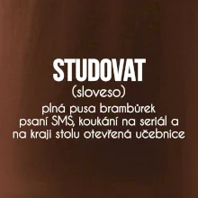 Studovat