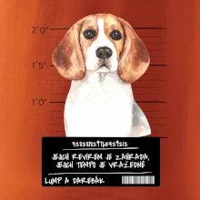 Lump a darebák bígl