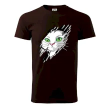 Kočka v roztrženém triku