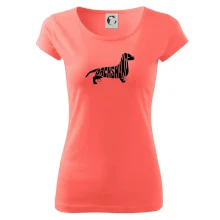 Jezevčík - Dachshund