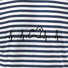 Bišonek ekg Bišonek ekg