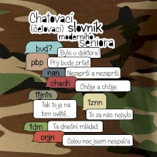 Chatovací slovník moderního seniora (Běžící češtinář)