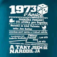 1973 v kostce