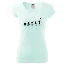 Evoluce volejbal culík