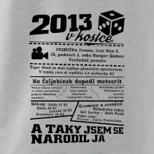 2013 v kostce