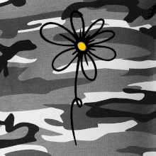 Kopretina - dole na výšku