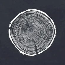 Letokruhy 95 bez věku