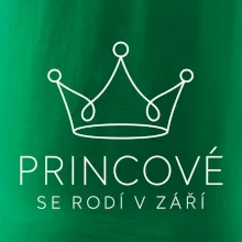 Minimalistická elegance - Princové se rodí v září
