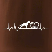 Německý boxer EKG