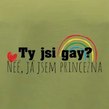 Gay princezna