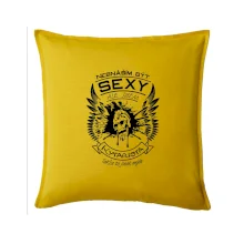 Nesnáším být sexy - kytarista