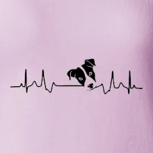 Jack Russell Terriér  - hlava