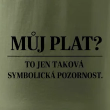 Můj plat? to jen taková symbolická pozornost