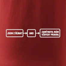 Jsem z října mám vždycky pravdu diagram
