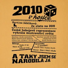 2010 v kostce