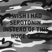 I wish I had serotonin instead of this huge cock