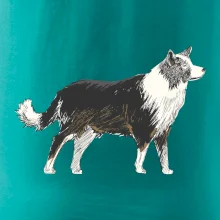 Border kolie kreslená