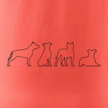 Americký stafordširský teriér v různých pozicích