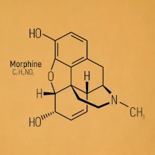Molekulární struktura Morfin