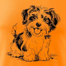 Havanský psík skica