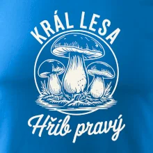 Král lesa hřib pravý